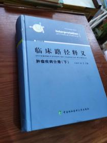 临床路径释义：肿瘤疾病分册（下册2018年版）