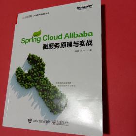 Spring Cloud Alibaba 微服务原理与实战