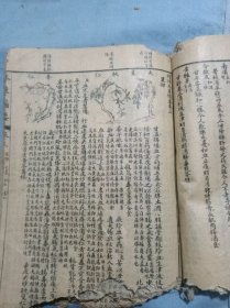 民国上海锦章图书局印增补本草备要有残