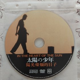 电影DVD简装无盒:阳光灿烂的日子
