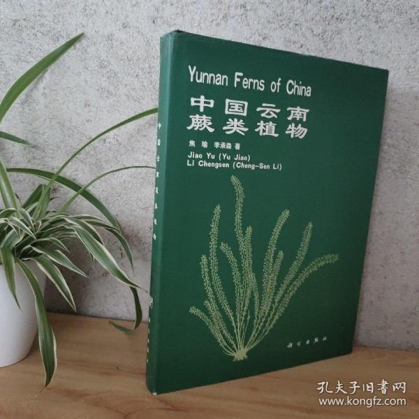 中国云南蕨类植物