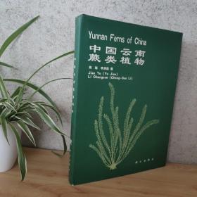 中国云南蕨类植物