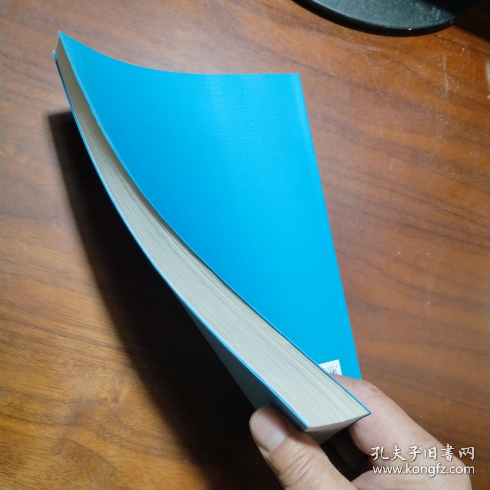 莱布尼兹自然正义理论研究