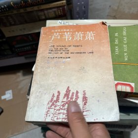 芦苇萧萧