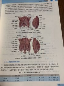 人体解剖与组织胚胎学/全国医药卫生类院校精品教材jc