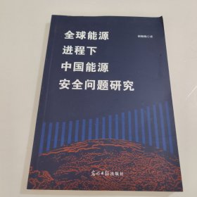 全球能源进程下中国能源安全问题研究