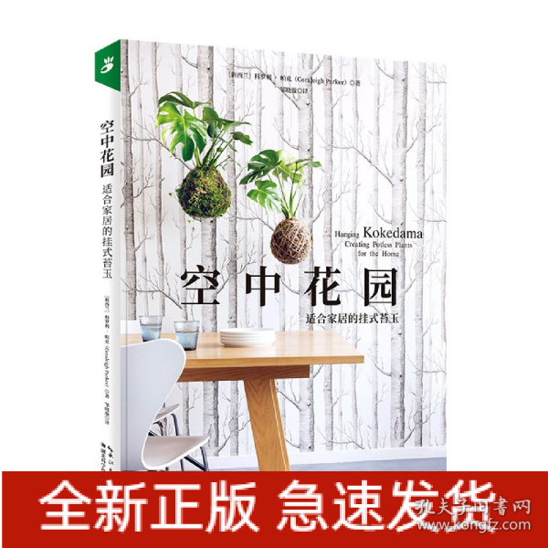 空中花园：适合家居的挂式苔玉