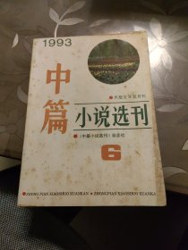 中篇小说选刊 1993年第6期