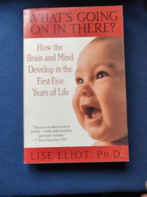 What's Going on in There?：How the Brain and Mind Develop in the First Five Years of Life