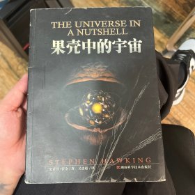 果壳中的宇宙