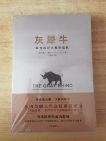 灰犀牛：如何应对大概率危机