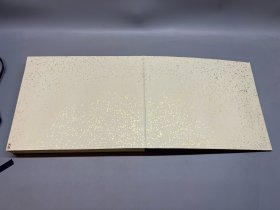 【深草元政，田能村直入，龟田鹏斋，泷和亭，大沼枕山，秦藏六，春木南湖，冈田半江，加藤千浪等，老册页一本】 名称:字画【古筆画帖12图】老作品， 作者：自查 材质:纸本绫裱册页，木盒 规格:18*25左右不一（画心尺寸cm） 28*35(册页尺寸cm) 品相:如图 老旧，黄斑，褶皱，破损缺肉，虫蛀等