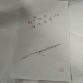 精品文房笺纸《朵云轩制》17×26cm 1张