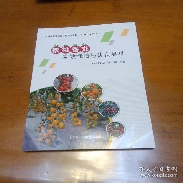 樱桃番茄高效栽培与优良品种