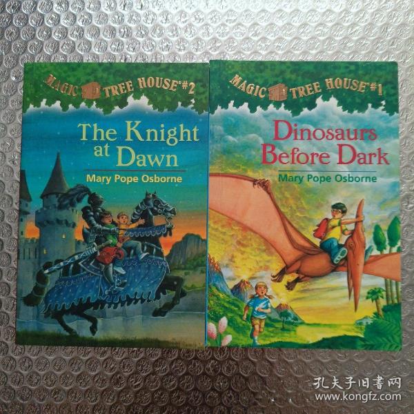 The Knight at Dawn (Magic Tree House #2)  神奇树屋系列2：黎明骑士 英文原版