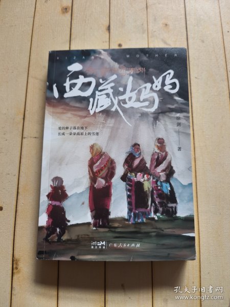西藏妈妈 雪域高原母亲书写人间大爱传奇纪实文学 深入采访记录西藏爱心妈妈们与孤儿孩子无私大爱的感人故事