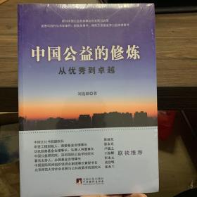 中国公益的修炼：从优秀到卓越