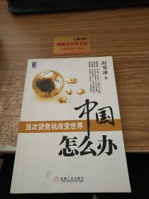 中国怎么办：当次货危机改变世界