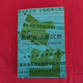 历史在这里沉思 1966-1976年记实 6