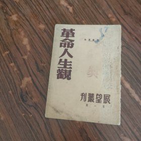 革命人生观