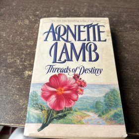 ARNETTE LAMB