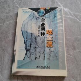 企业两种现金流