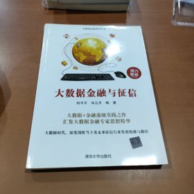大数据金融与征信/互联网金融系列丛书