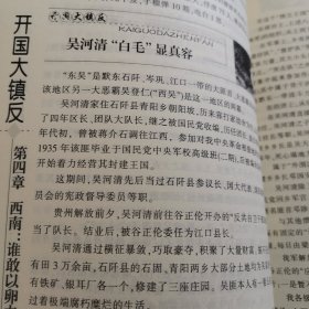 开国大镇反