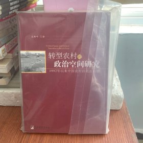 转型农村的政治空间研究