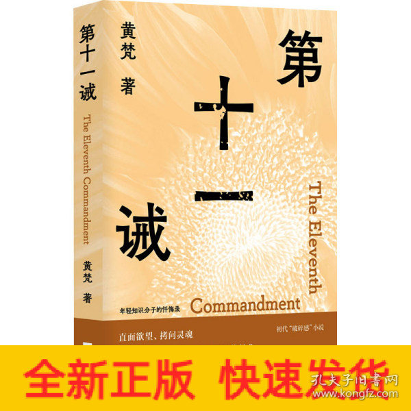 第十一诫 （年轻知识分子的忏悔录 直面欲望、拷问灵魂，《围城》之后讽刺知识分子的当代经典）