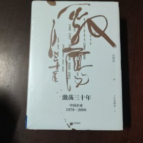 吴晓波企业史 激荡三十年：中国企业1978—2008（十年典藏版）（套装共2册）