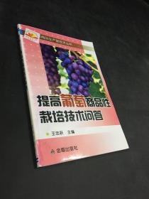 提高葡萄商品性栽培技术问答