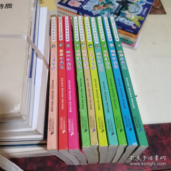 我的第一本大中华寻宝漫画书 江苏寻宝记等10本合售