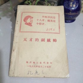 天才的副统帅（东橱）
