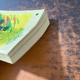 毕淑敏作品精选