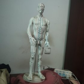 人体针灸 穴位模型。(高550cm。)品相特别好，彩色的。