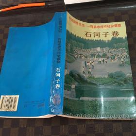 中国国情丛书—百县市经济社会调查.石河子卷