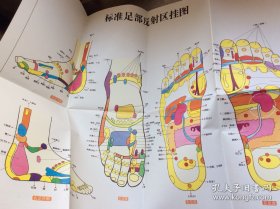 老医药：手到病自除（附赠足部反射区挂图）
