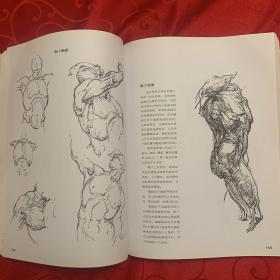 伯里曼人体结构绘画教学（白金版）