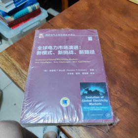 全球电力市场演进：新模式、新挑战、新路径
