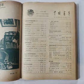 中国青年1981 13-24