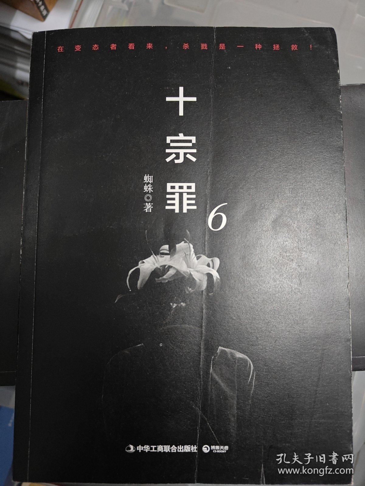 十宗罪6：本书根据真实案例改编而成。十宗罪系列第6季重磅回归（蜘蛛 2018作品）