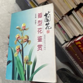 兰花瓣型花鉴赏