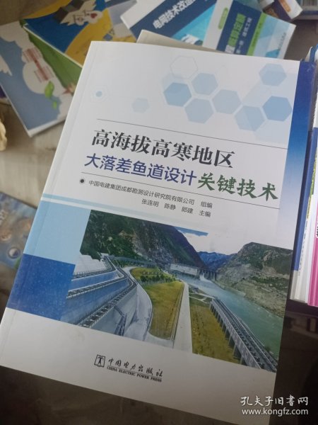 高海拔高寒地区大落差鱼道设计关键技术