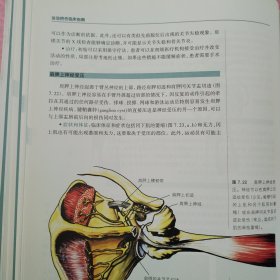 运动损伤临床指南