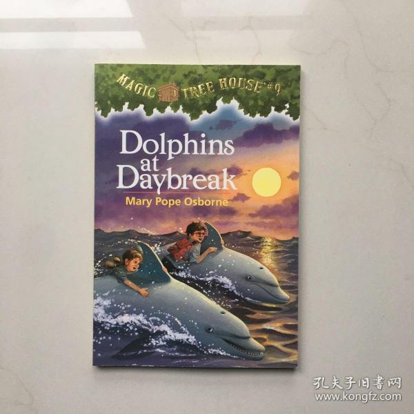 Dolphins at Daybreak (Magic Tree House #9) 神奇树屋系列9：与海豚共舞