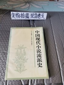 中国现代小说流派史