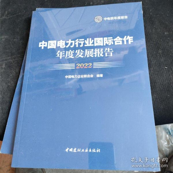 2022年中国电力行业国际合作年度发展报告