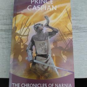 Prince Caspian：The Return to Narnia