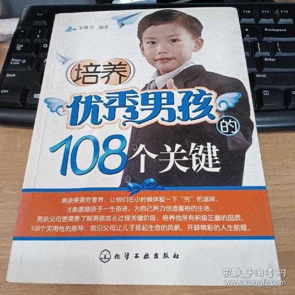 培养优秀男孩的108个关键